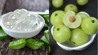 Aloe Vera or Amla: Which Is Better Choice To Promote Hair Growth | Know Here